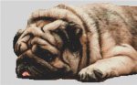(image for) Life is Hard